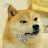 시바견