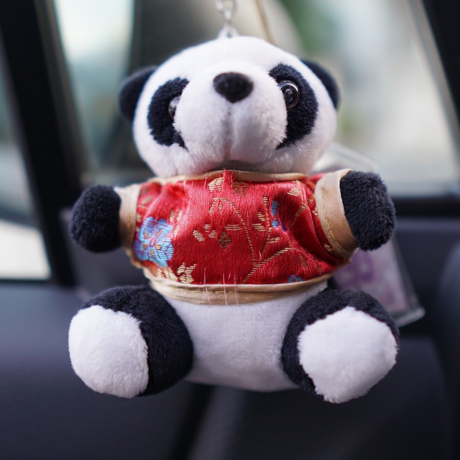 パンダ先生 Youtube