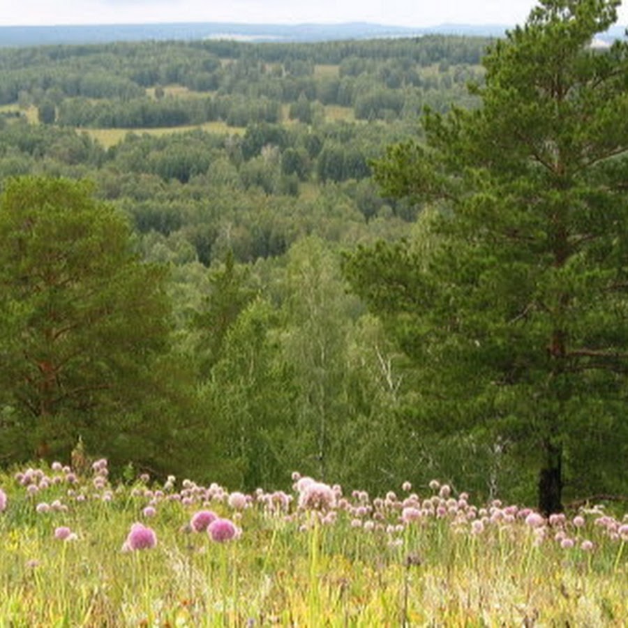 Улантова гора новосибирская область