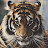 leneopen Avatar