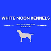 White Moon Kennels