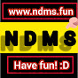 NDMS fun YouTube Profile Photo