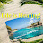 Life is Healing 至成惠지성혜