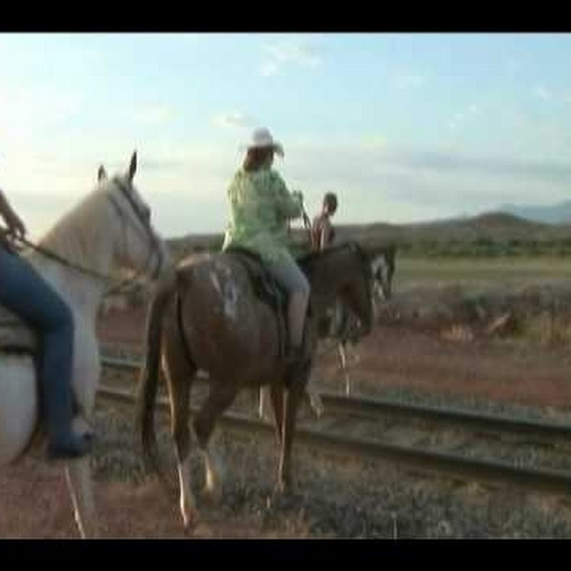 wildwesthorseback