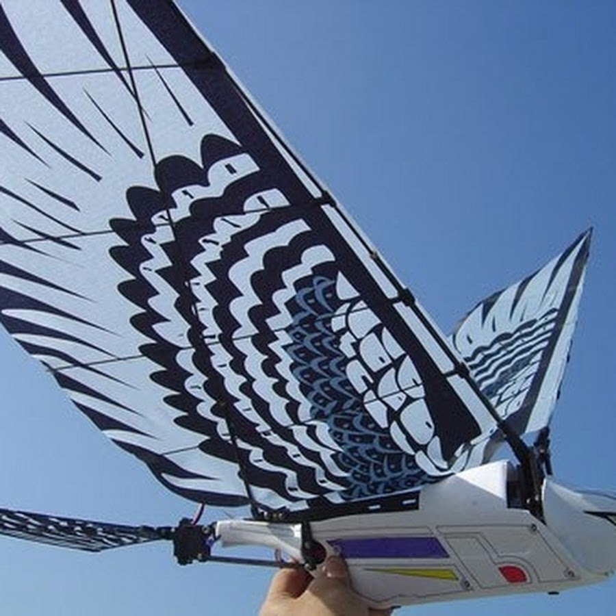 Самолеты машут крыльями. Орнитоптеры БПЛА. Планер орнитоптер. Крыло летательного аппарата. Крылья для полета.