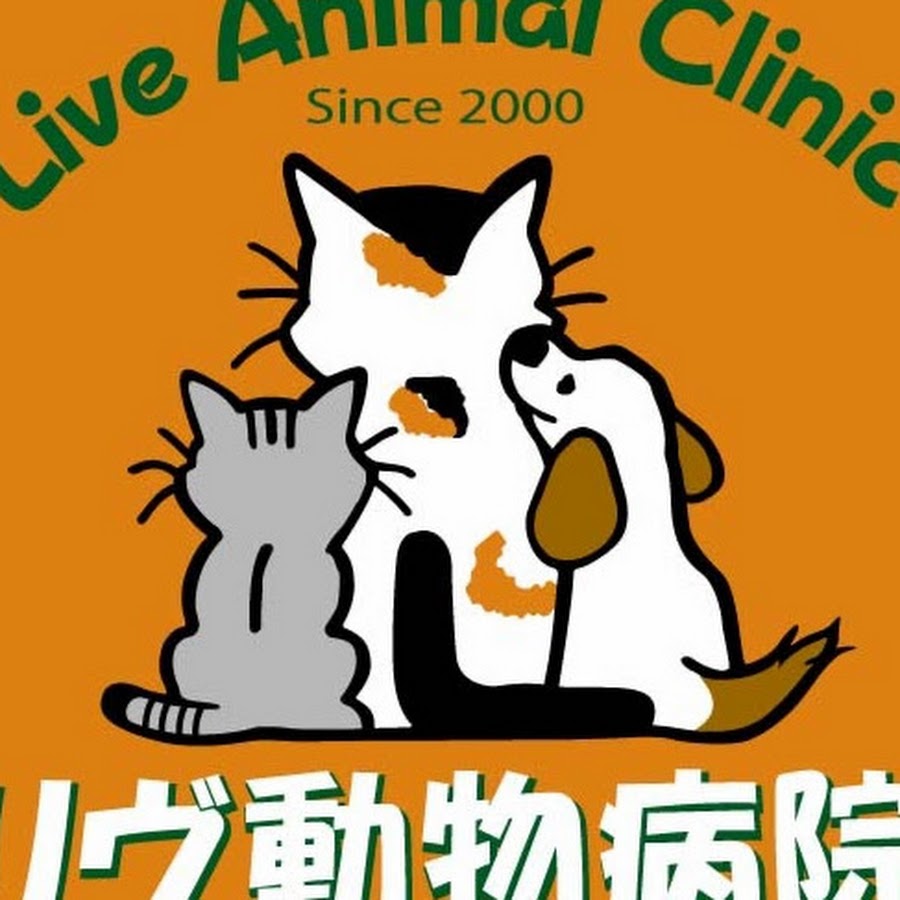 リヴ動物病院 Youtube