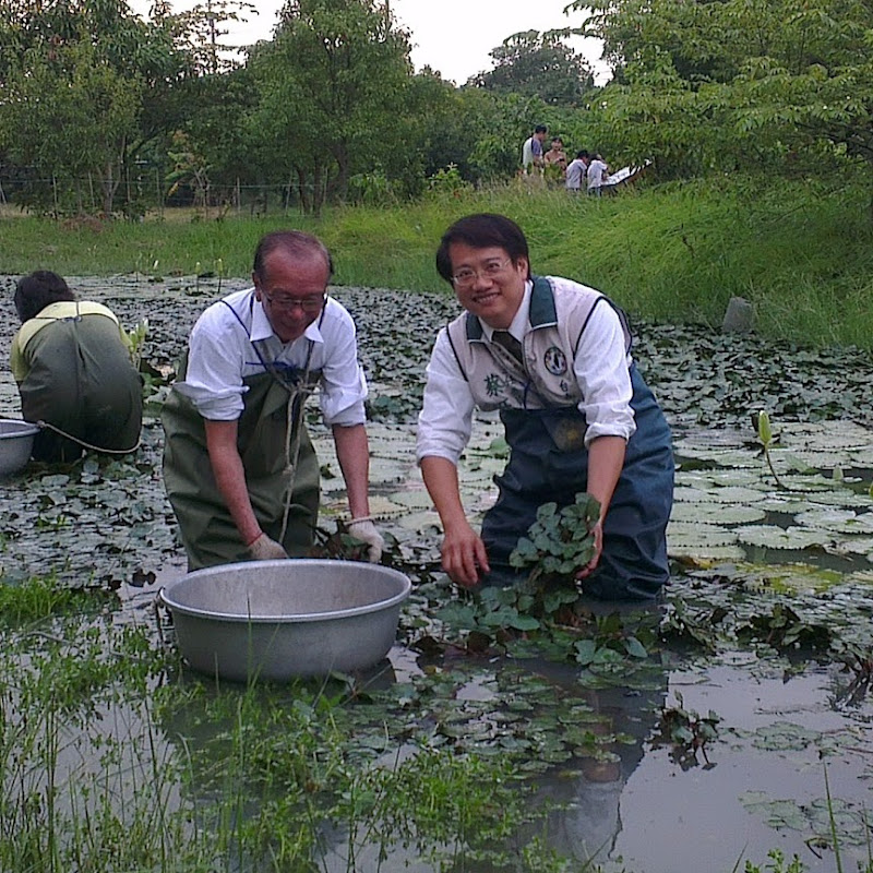 蔡旺詮 - 網紅的藏寶箱 