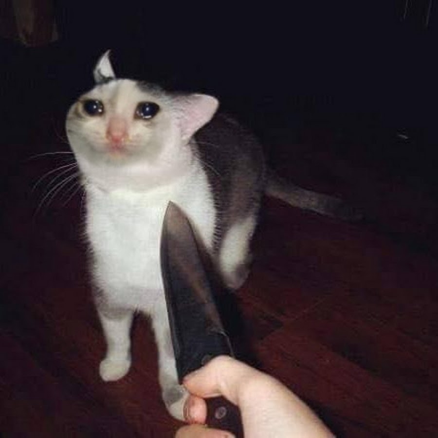 Кот с ножами вокруг мем I am THE Sad Cat - YouTube