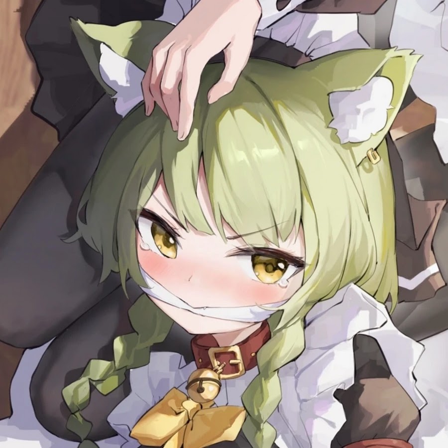 Кот в траве. Кошка на природе. Весенний кот. Пшеница для кошек. Кошка в поле.