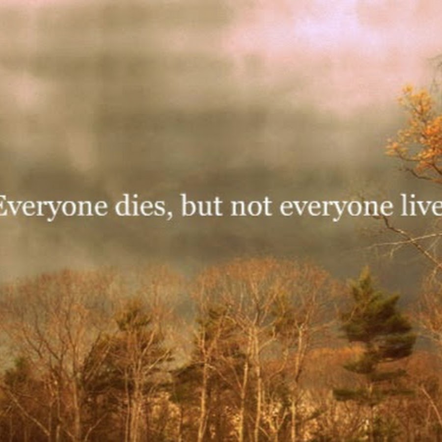 Everyone lives. Everyone dies, but not everyone Lives. Everyone dies but not everyone...