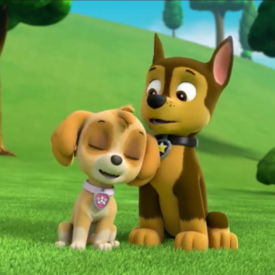 PAW Patrol Chase & Skye Together - YouTube.