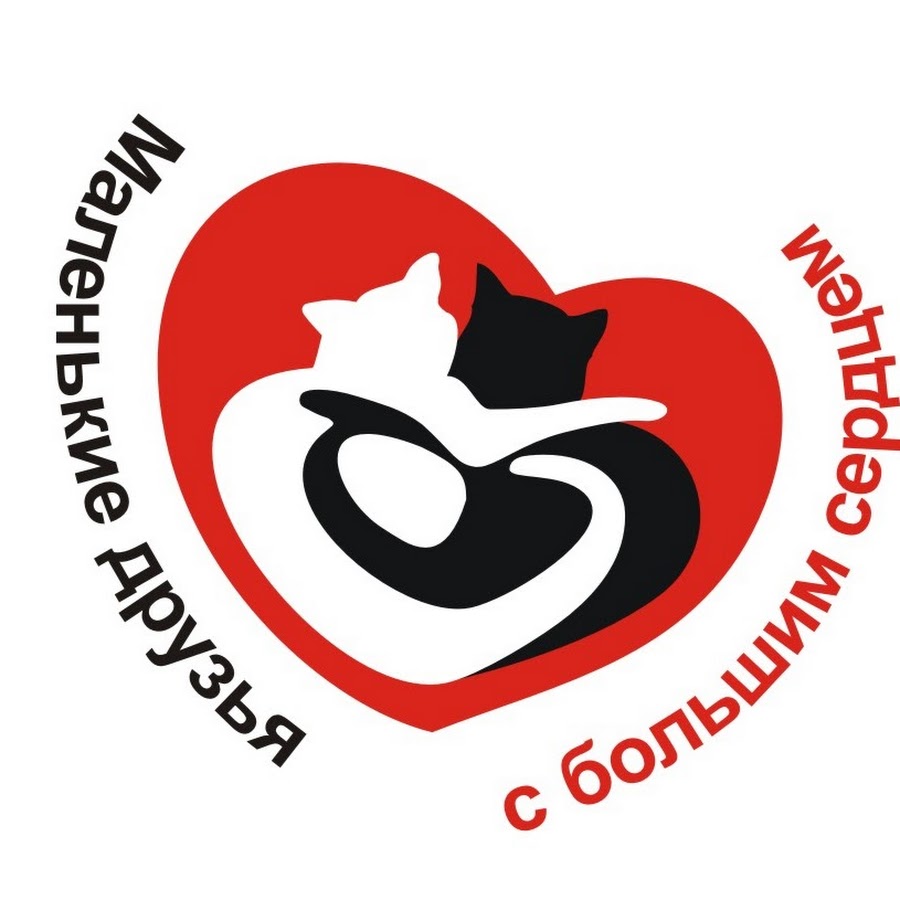 Интернет Магазин Маленький Друг