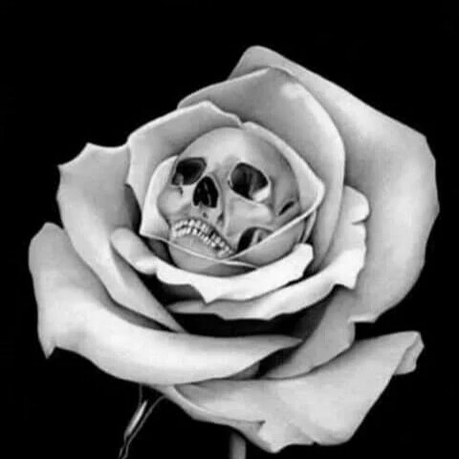 Роза арт черно белый