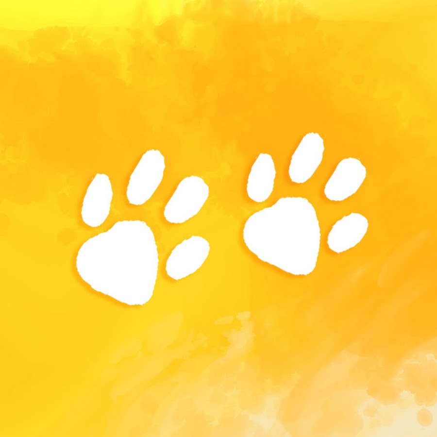 Download Yellow Tunes Royalty Free Music Youtube