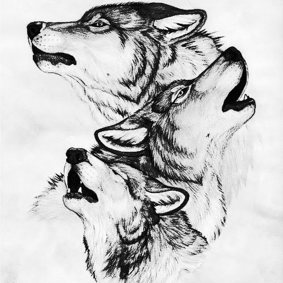 Эскизы тату волк и волчица