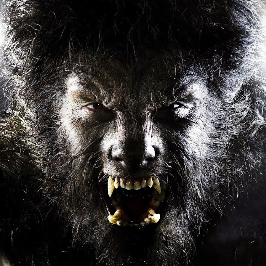 Lycanthrope by liminalbean Lycanthrope, Human to animal transformation art, Were