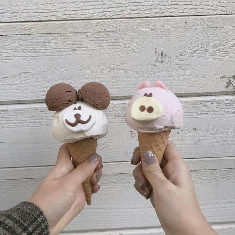 study takai - 網紅的藏寶箱 