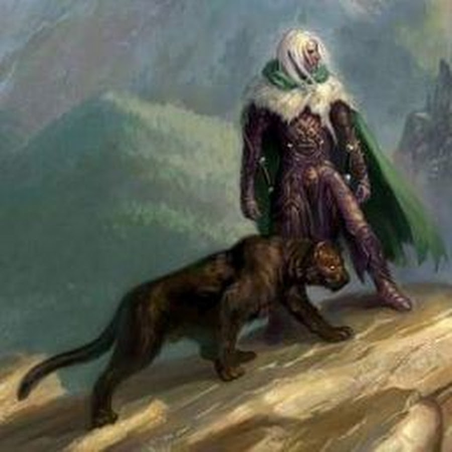 темный эльф дзирт. темный эльф дзирт до'урден. темный эльф дриззт. темный эльф дриззт. дриззт до’урден.