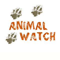Animal Watch thumbnail