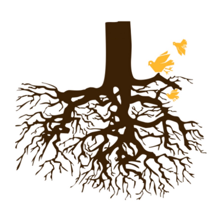 Дерево с корнем картинка для детей на прозрачном фоне