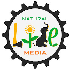 Natural Life Media thumbnail