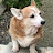 I Kazu