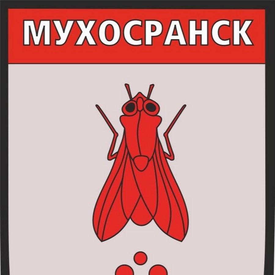 Есть город мухосранск. Мухосранск. Мухосранск герб. Мухосранск флаг