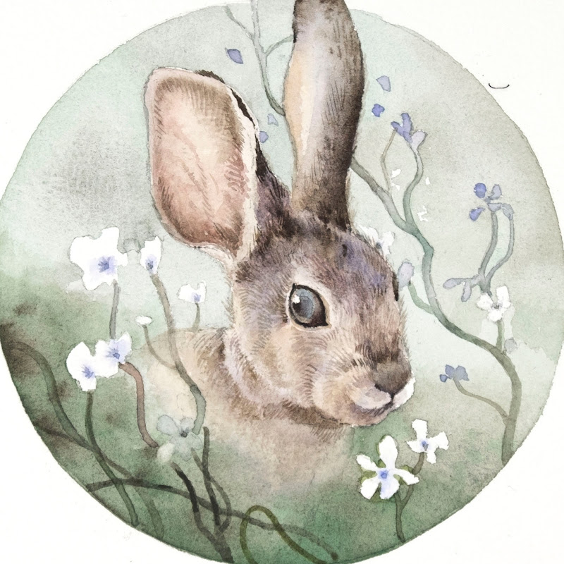 Ciaoyin 水彩 - 網紅的藏寶箱 