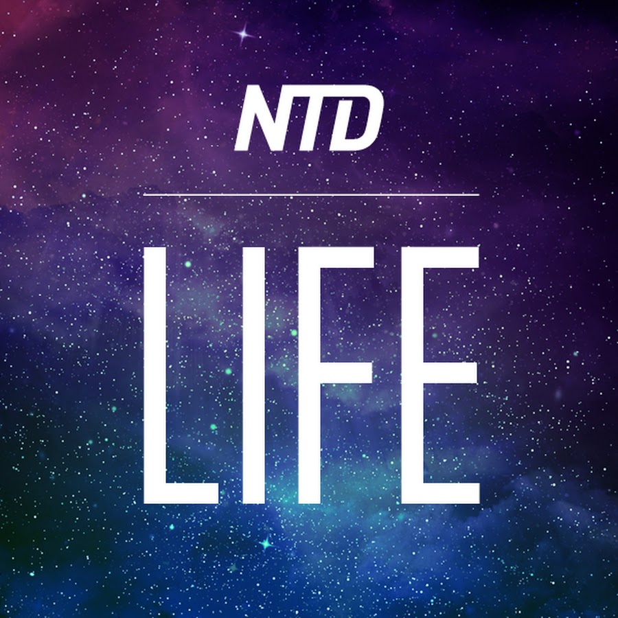 Ntd Life Youtube