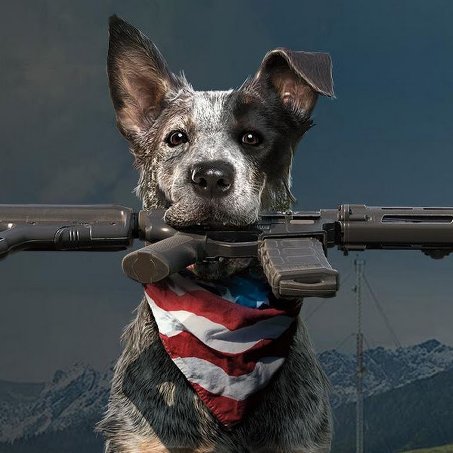 чоризо far cry 6. чоризо такса. Far cry 5 пес бумер. фар край собака. чоризо far cry 6.