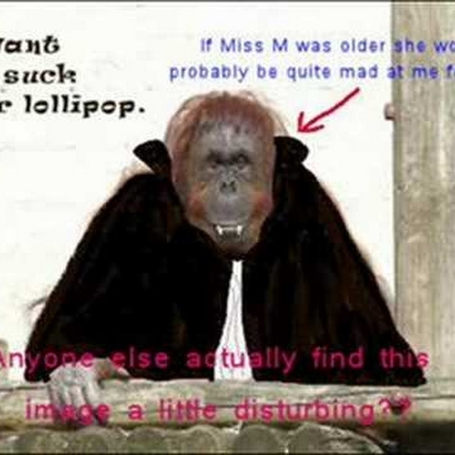 Элизабет невилл. Will be going to разница. Community gif. Probably quite. Maybe perhaps probably разница.