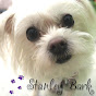 Stanley Bark YouTube Profile Photo