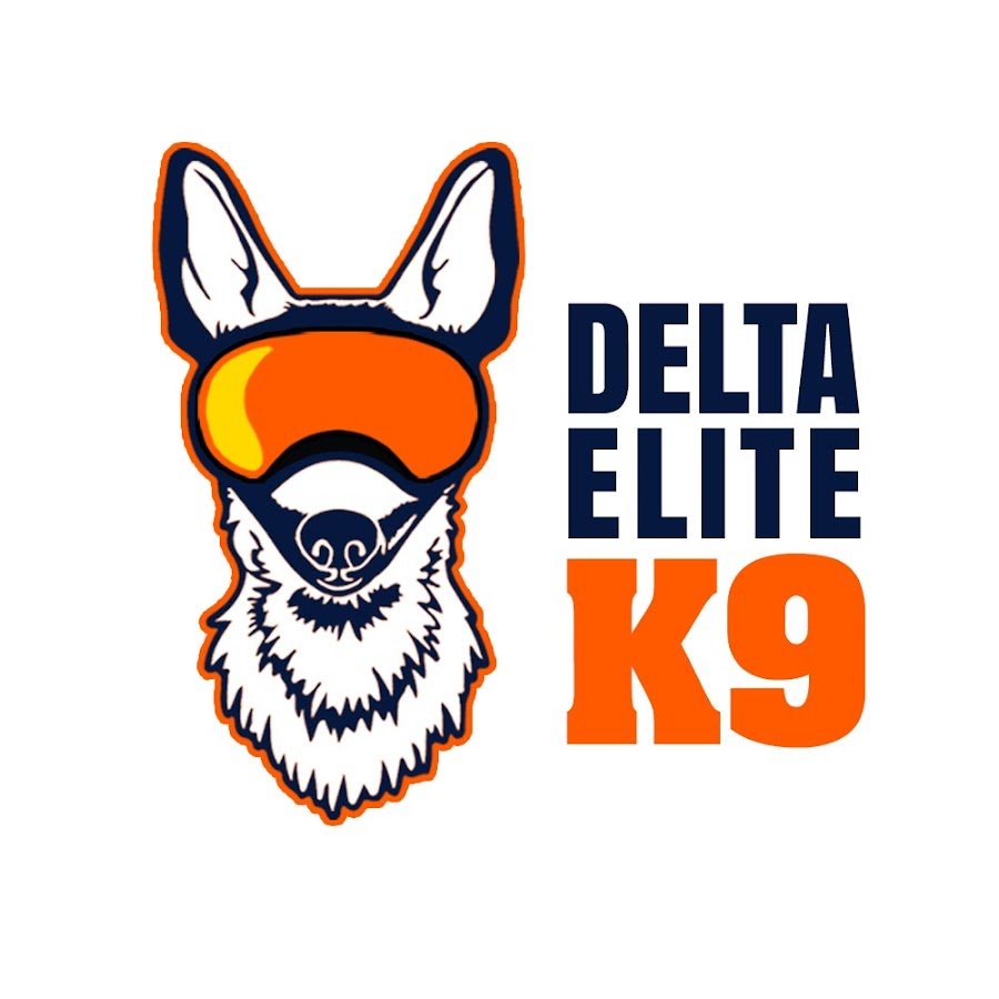 Delta Elite K9 Dog Training Youtube