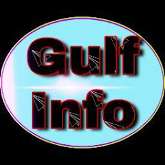 Gulf Info net worth