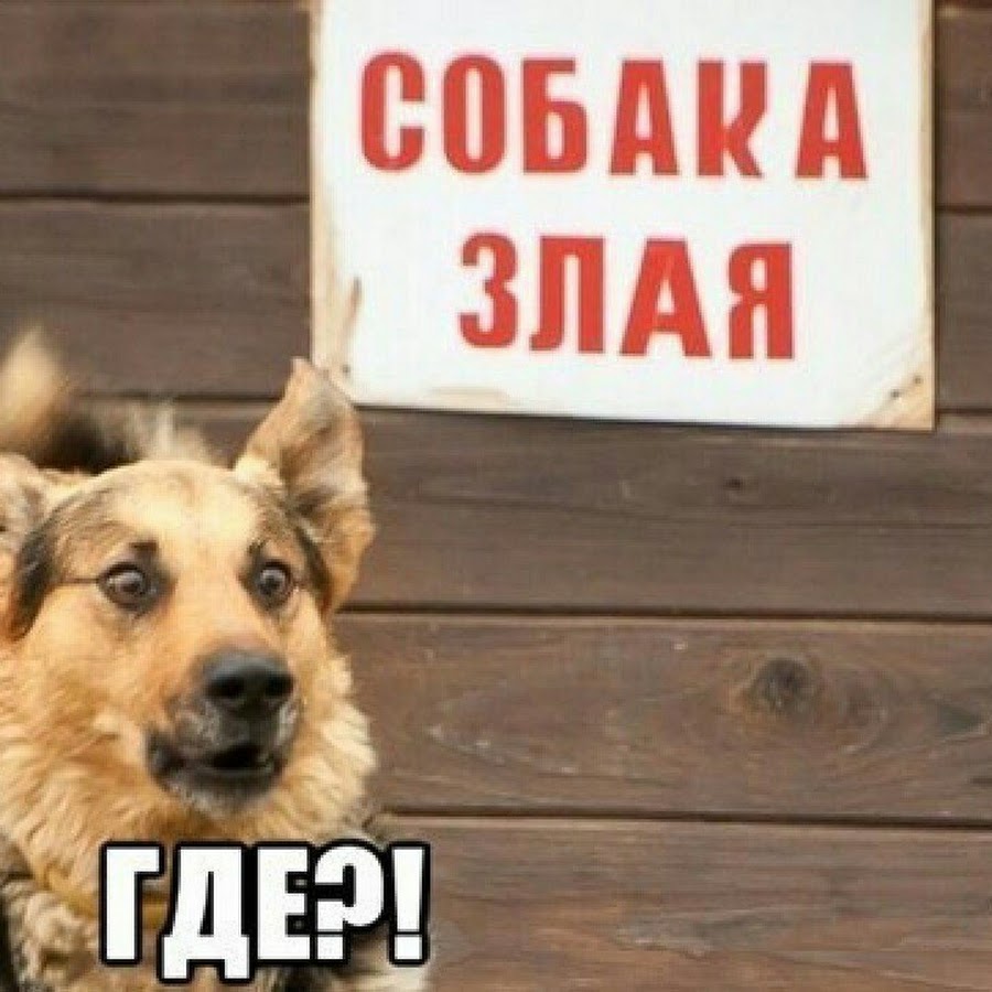 Осторожно злая собака где