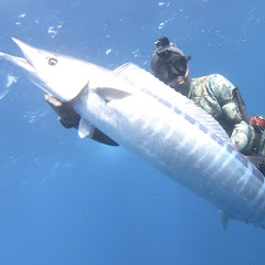 South Pacific Spearfishing Avatar