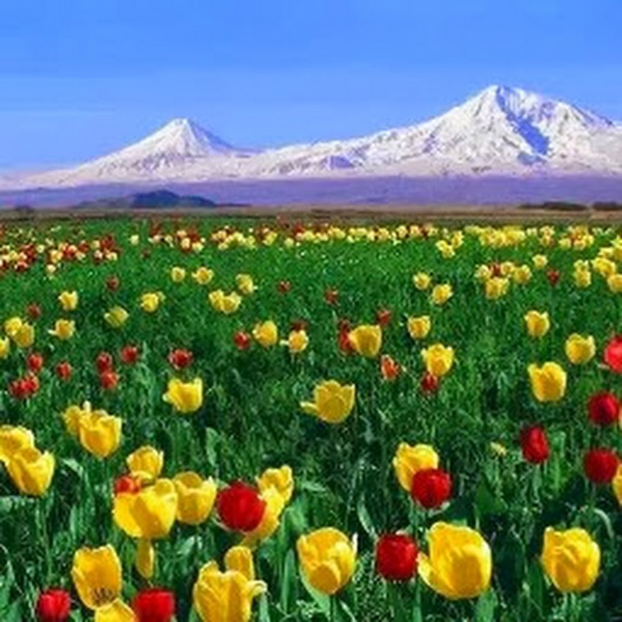 Thermal Spring in Armenia