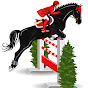 The Charity Horse Show by Q Hotels YouTube Profile Photo