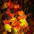 Autumn Of Yahn
