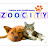 Zoocity Company