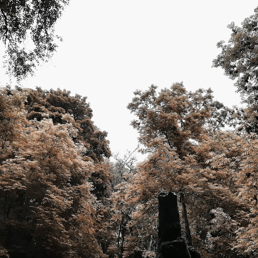 AKedOLSWb5NdawyI4JyoyzS9cEHYCPbzK7KjZlSER6NPg=s900ckc0x00ffffffnorj