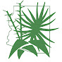 Arizona Native Plant Society YouTube Profile Photo