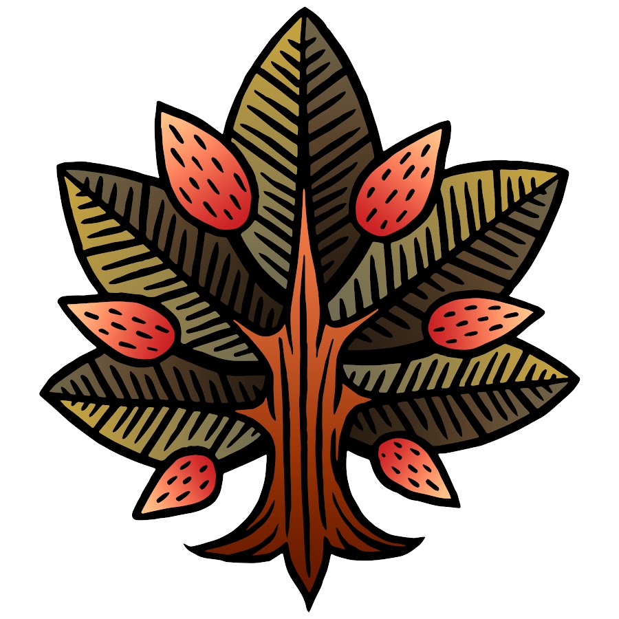 AKedOLSWtIOvW5_MmBuQfDVxFcnPhCVvSGPXIiFp2kTiIA=s900ckc0x00ffffffnorj