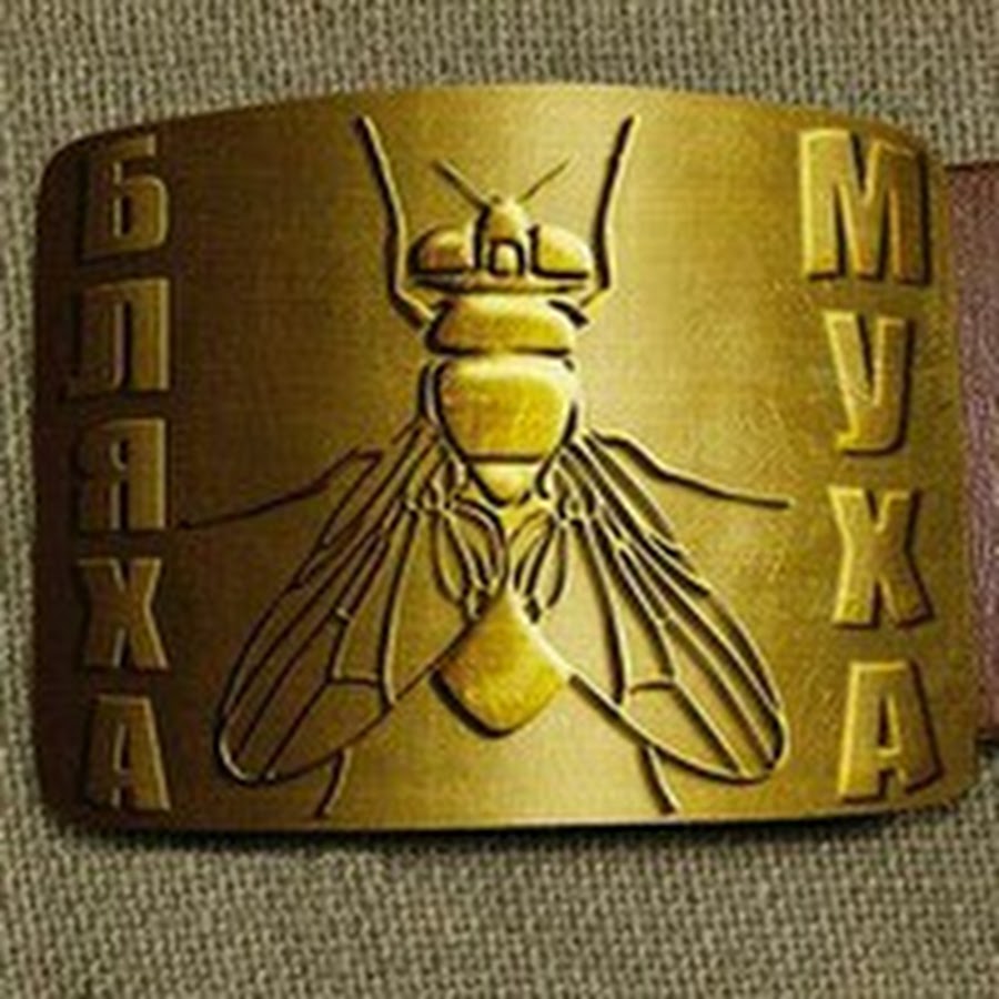 Бляха муха картинка