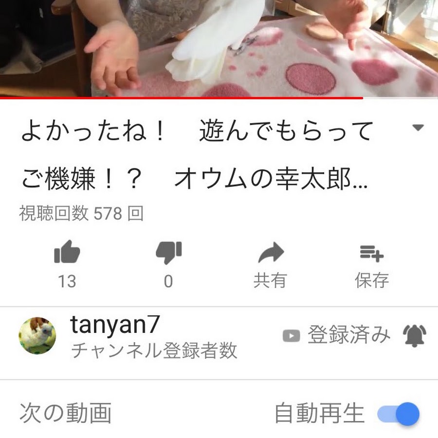 一花アンチ菊咲 Youtube