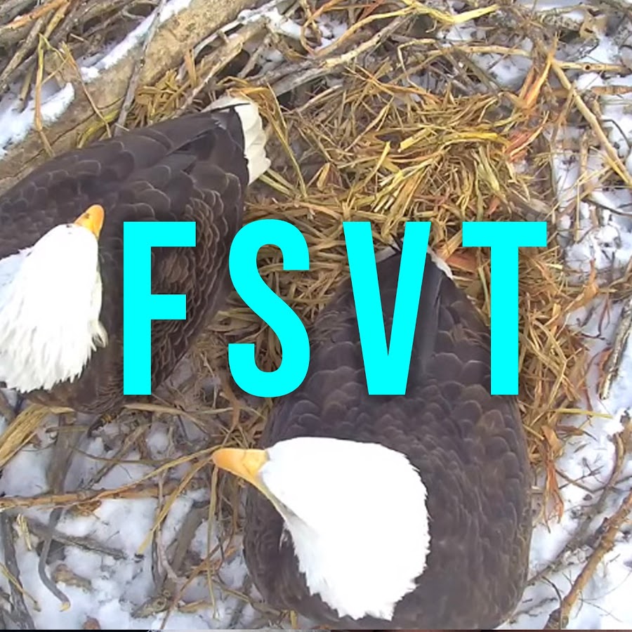 AKedOLSXM4mmjkNzp7MhA8wRlFFa2kVRgYeQ0vS778bA=s900ckc0x00ffffffnorj