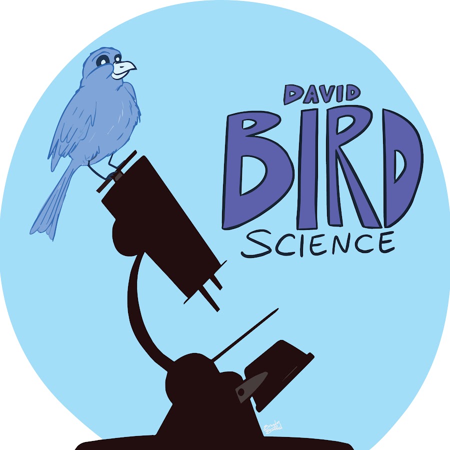 AKedOLSXTbqyunAPy7WlodccGtBS9rRee1SzANFL2JDD=s900ckc0x00ffffffnorj