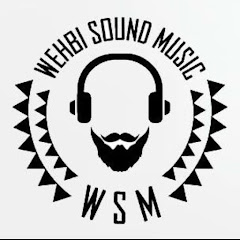 WSM WEHBI SOUND MUSIC net worth