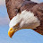 Valerie Begley Avatar