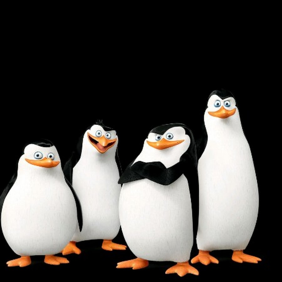 Как зовут пингвинов из мадагаскара на русском с картинками